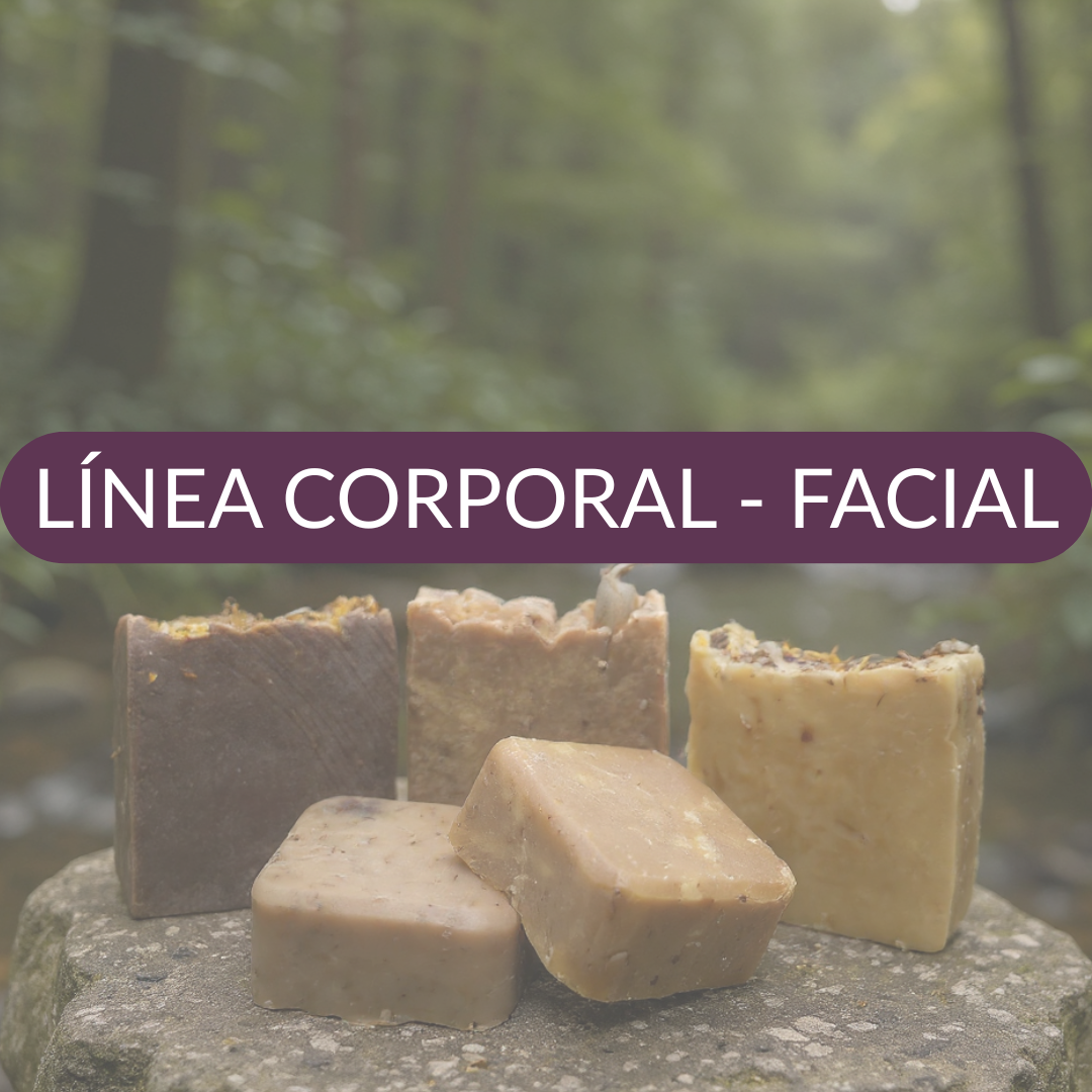 Línea Corporal